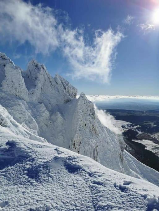 Appartement Chaleureux Et Cosy Le Mont-Dore Eksteriør billede